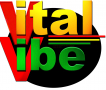 VITALVIBE.COM